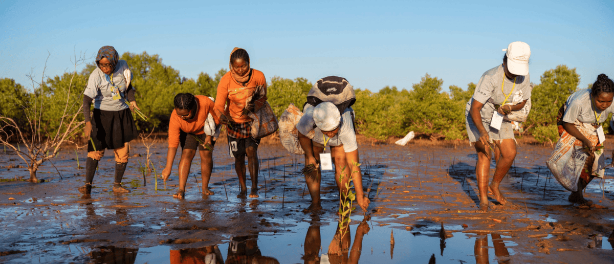 VOITED Partners with Greenspark for a Greener Tomorrow
