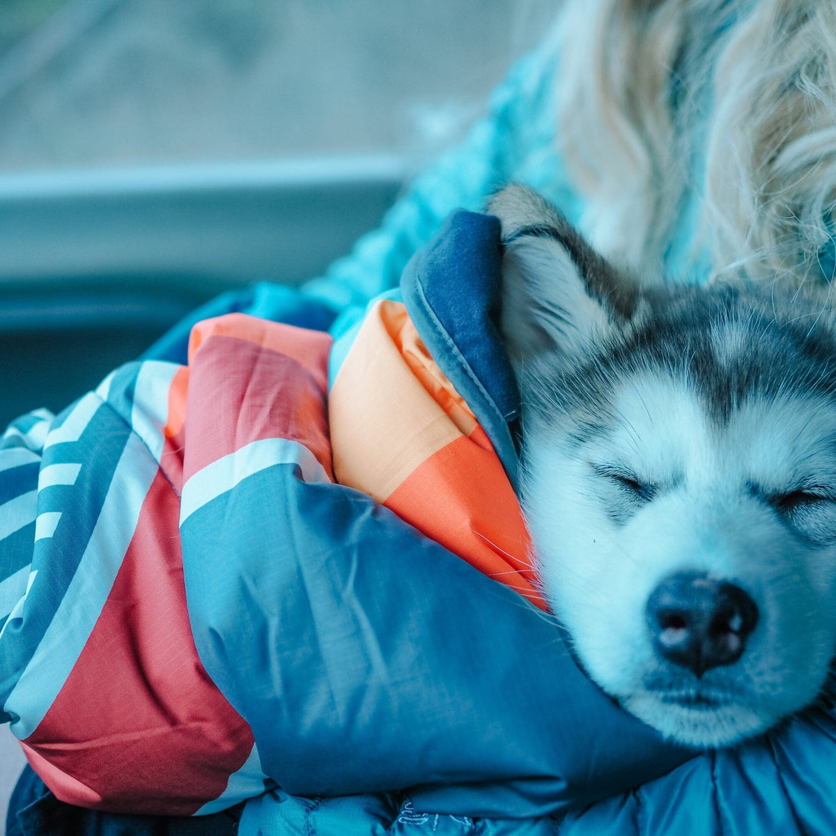 VOITED Quilted Premium Recycled Pet Blanket - Camp Vibes Two Blankets VOITED 